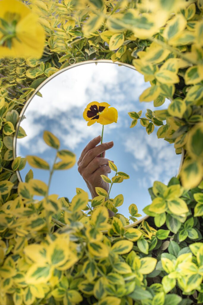 16 Creative Mirror Photography Tips, Outdoor Mirror Selfie Ideas