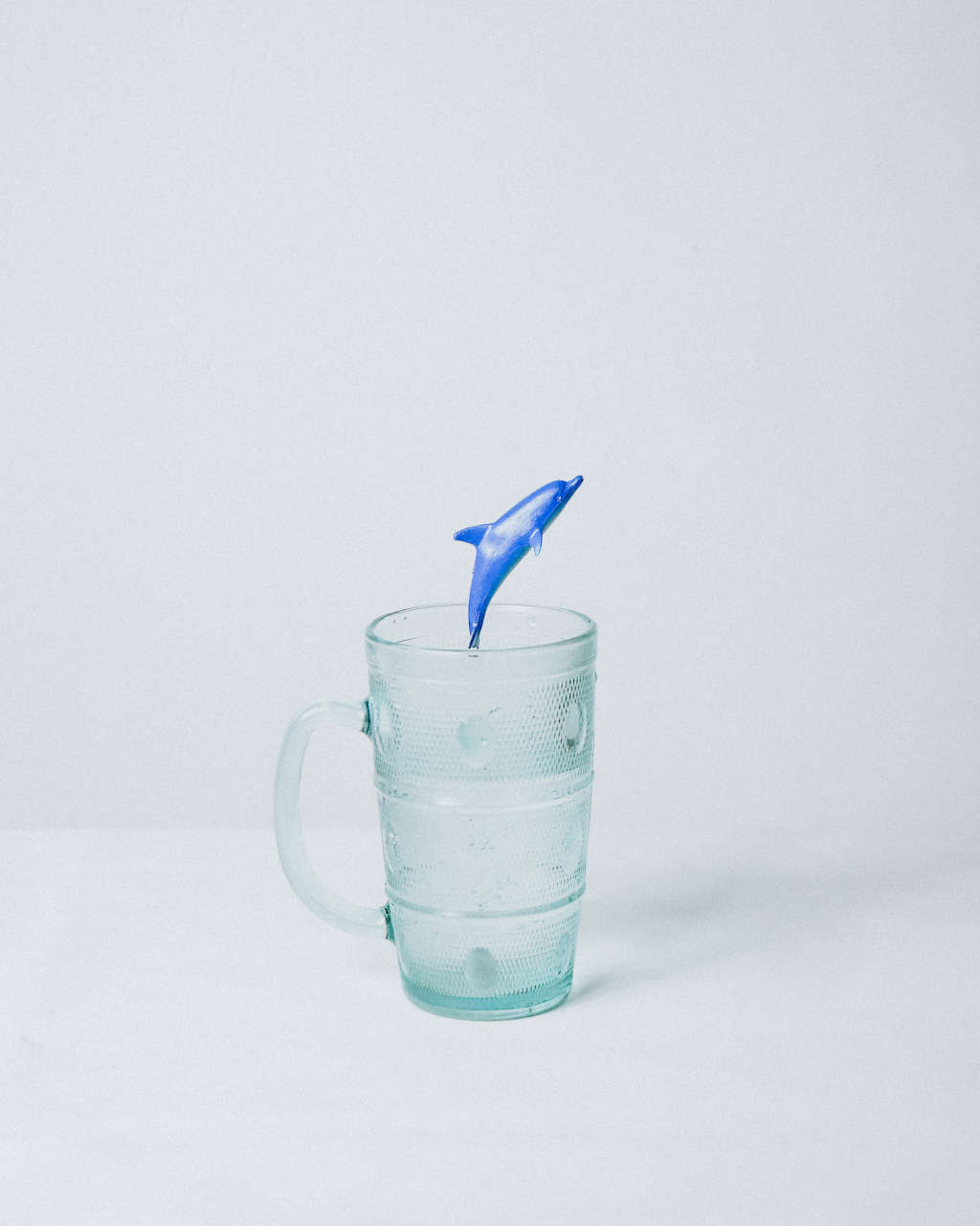 a dolphin emerging from a glass of water