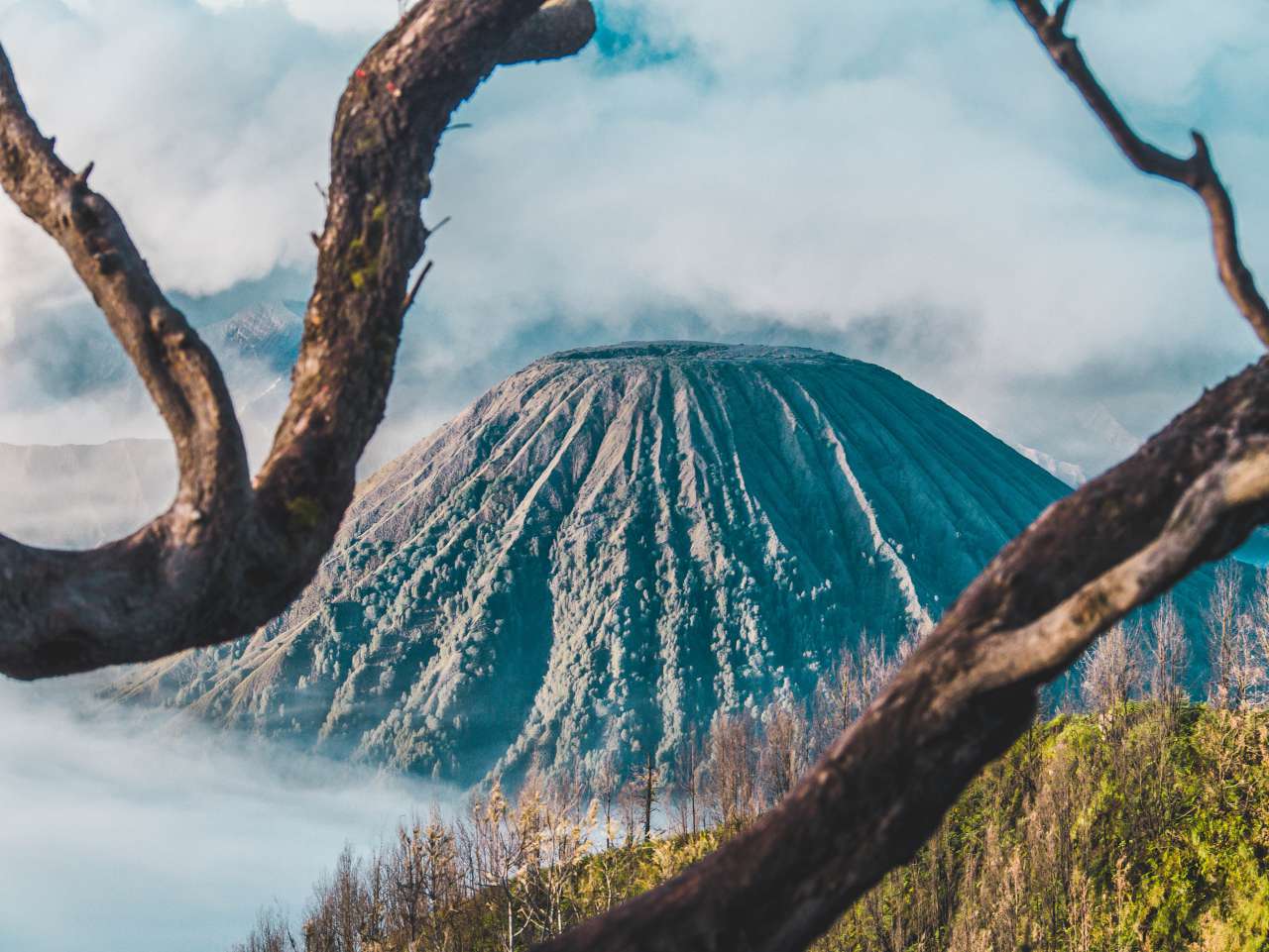 volcano framed by branches
