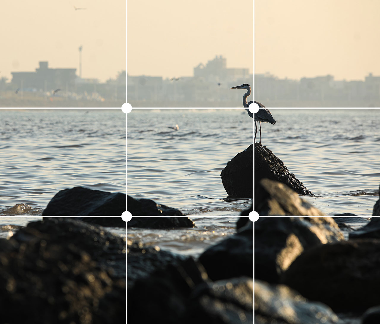 rule of thirds guide