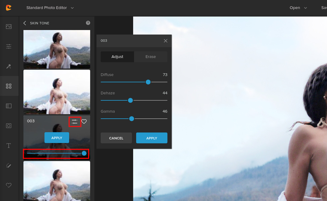 skin tone adjustment in colorcinch