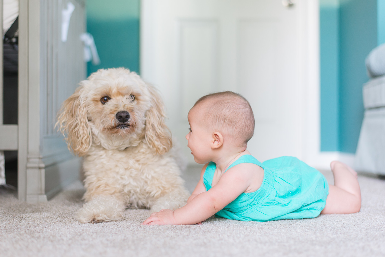 baby photoshoot ideas at home