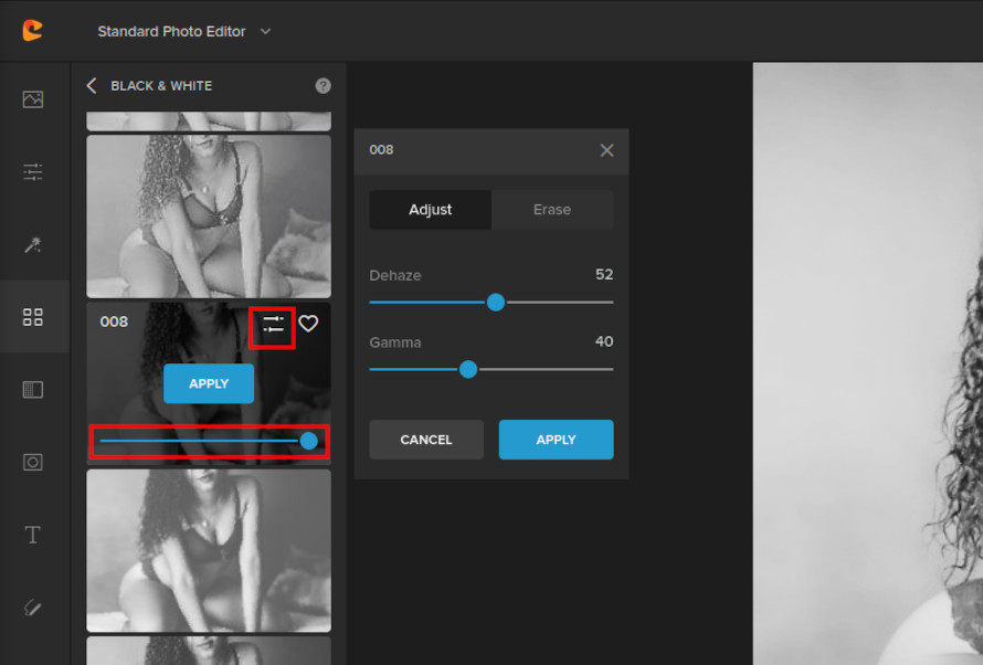 black and white adjustment in colorcinch