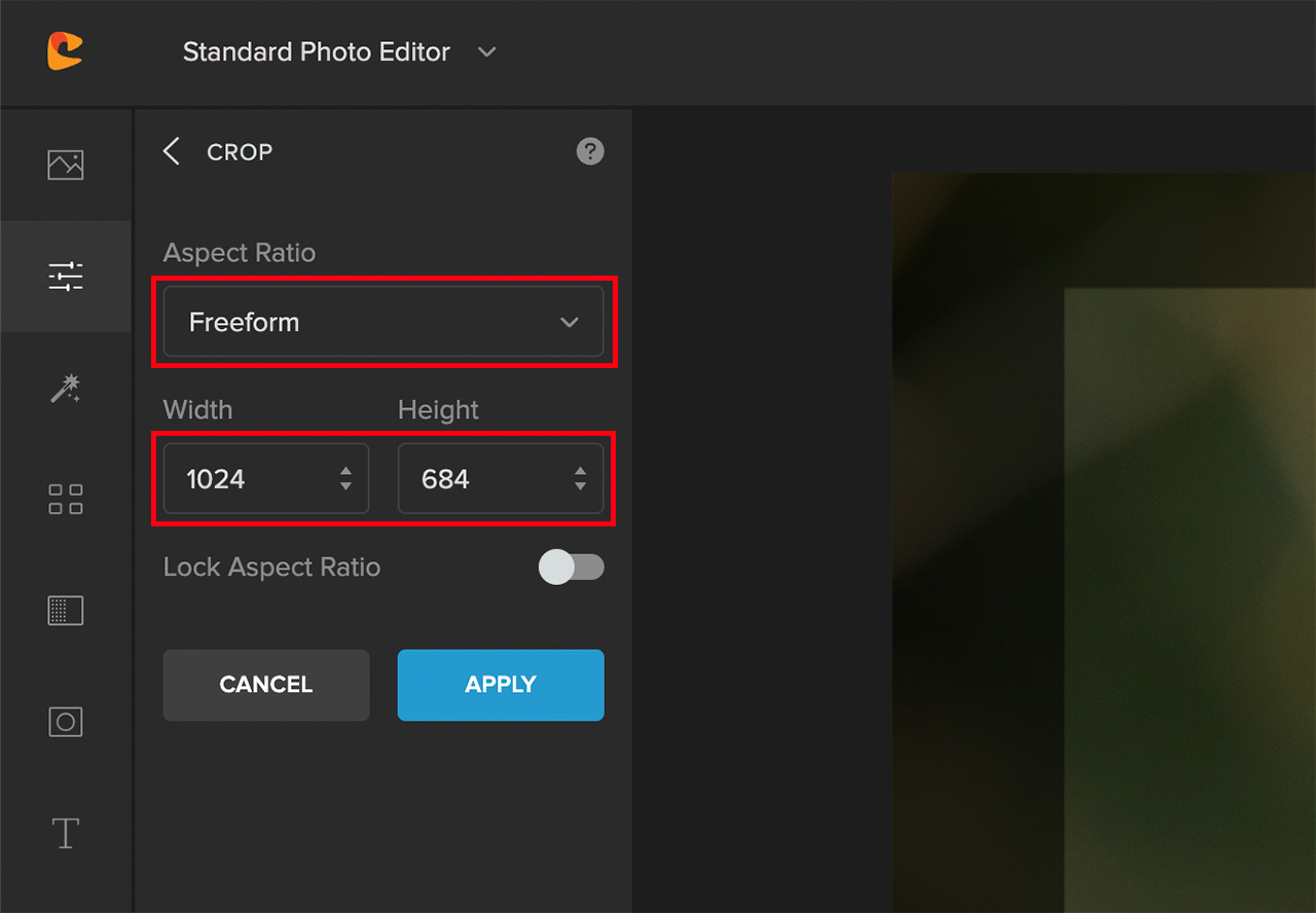 crop settings in colorcinch