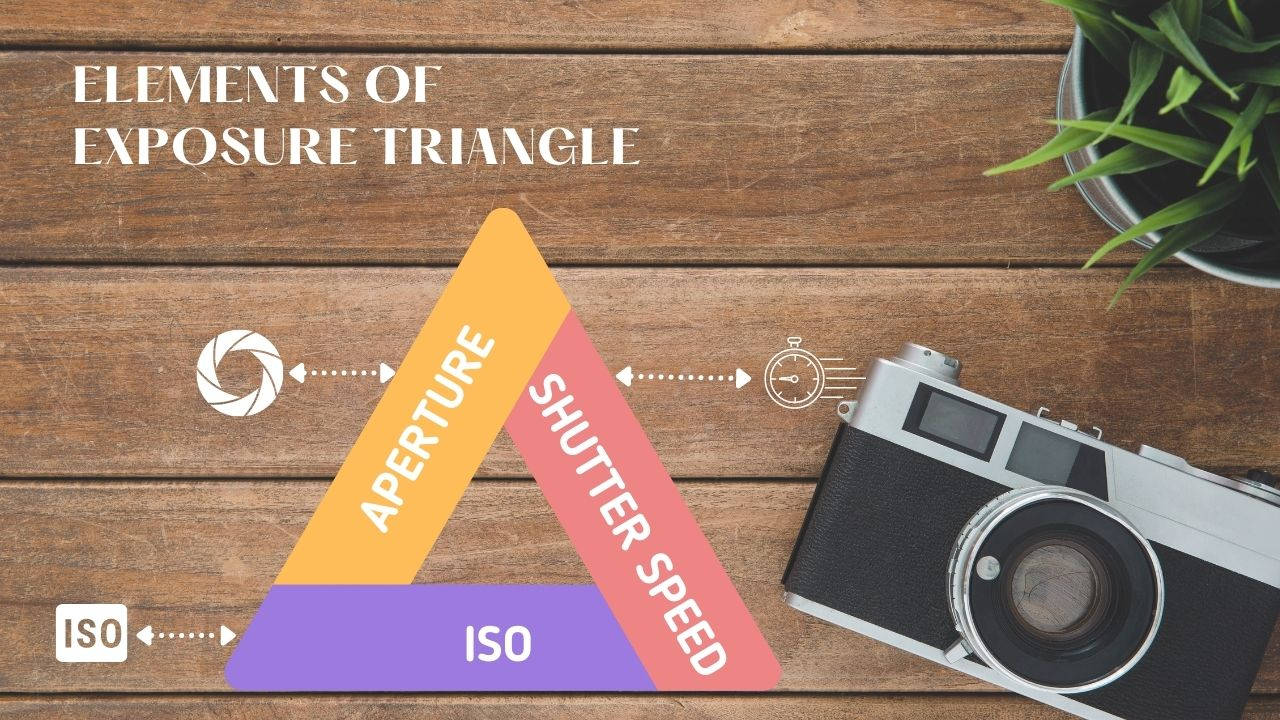elements of exposure triangle
