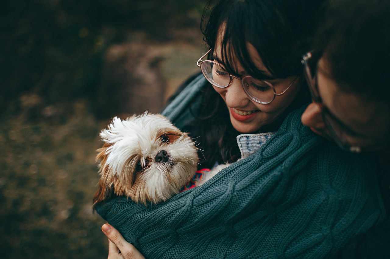 family photo ideas with pets