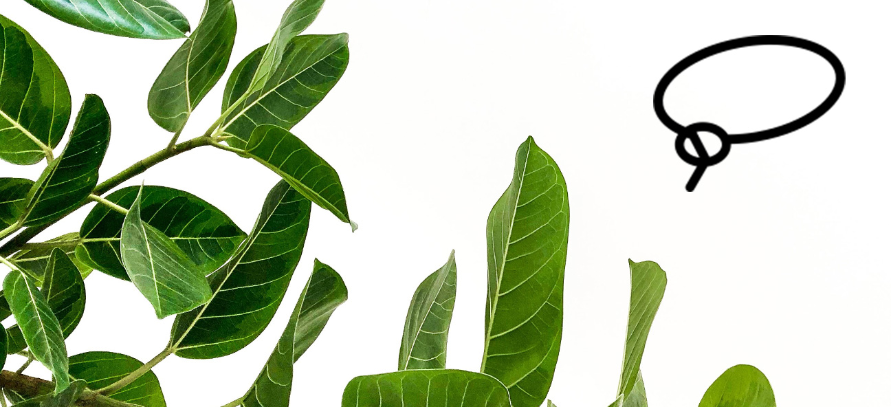 How To Cut Something Out Of A Photo With Colorcinch