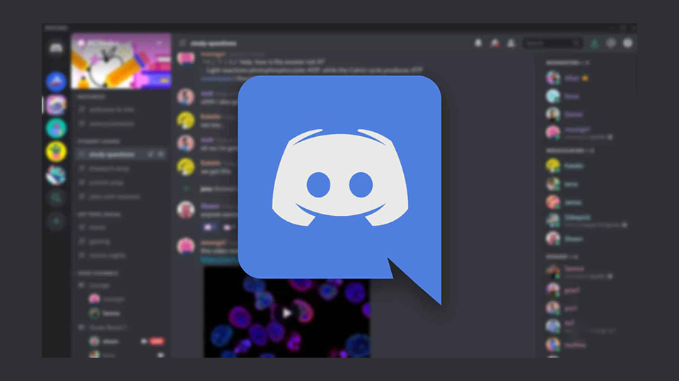 The Perfect Discord Banner Size – Image Dimensions Guide