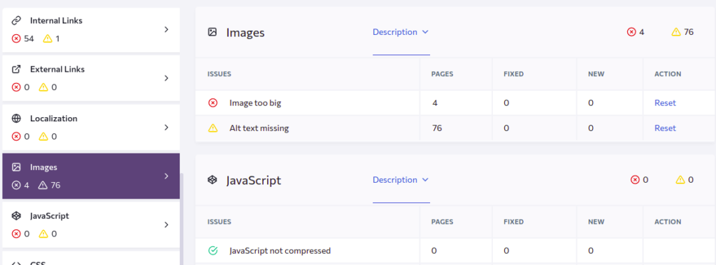 SE Ranking website audit tool shows images that are too big and missing alt text.