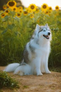 reba-spike-3BMatCJ7yg0-unsplash