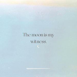 Aesthetic Quotes for Instagram & Life (100 Picks)