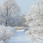 Winter Aesthetic: Capture & Edit Cozy Photos