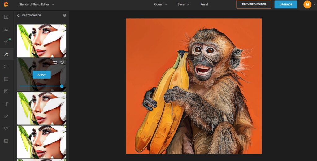 colorcinch cartoonizer online