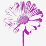 How to Turn Photos into Pen Drawings