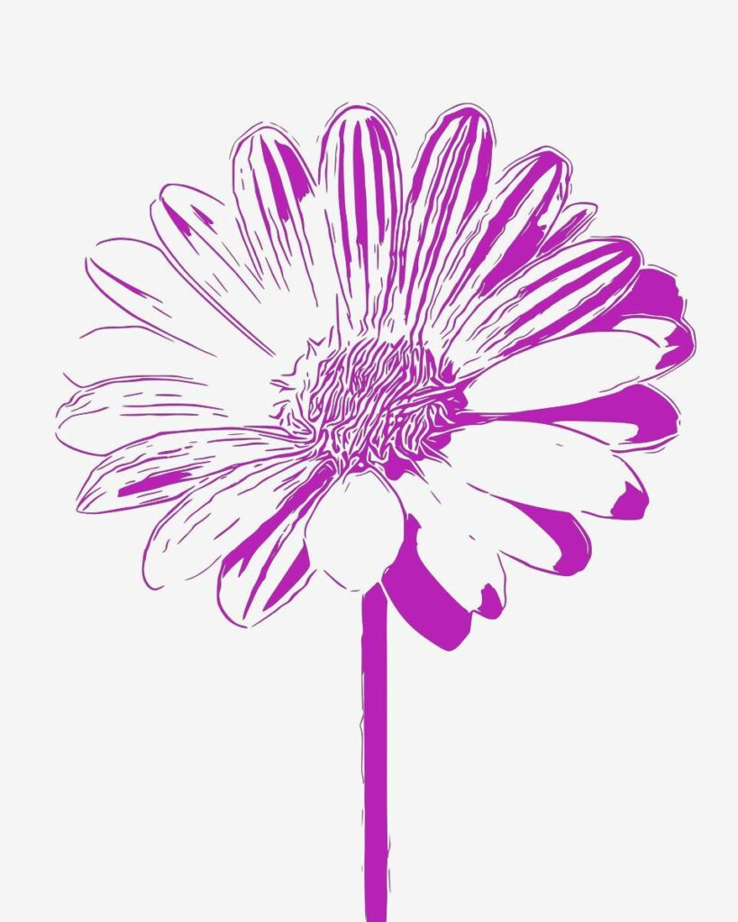 colorcinch photo to pen art 