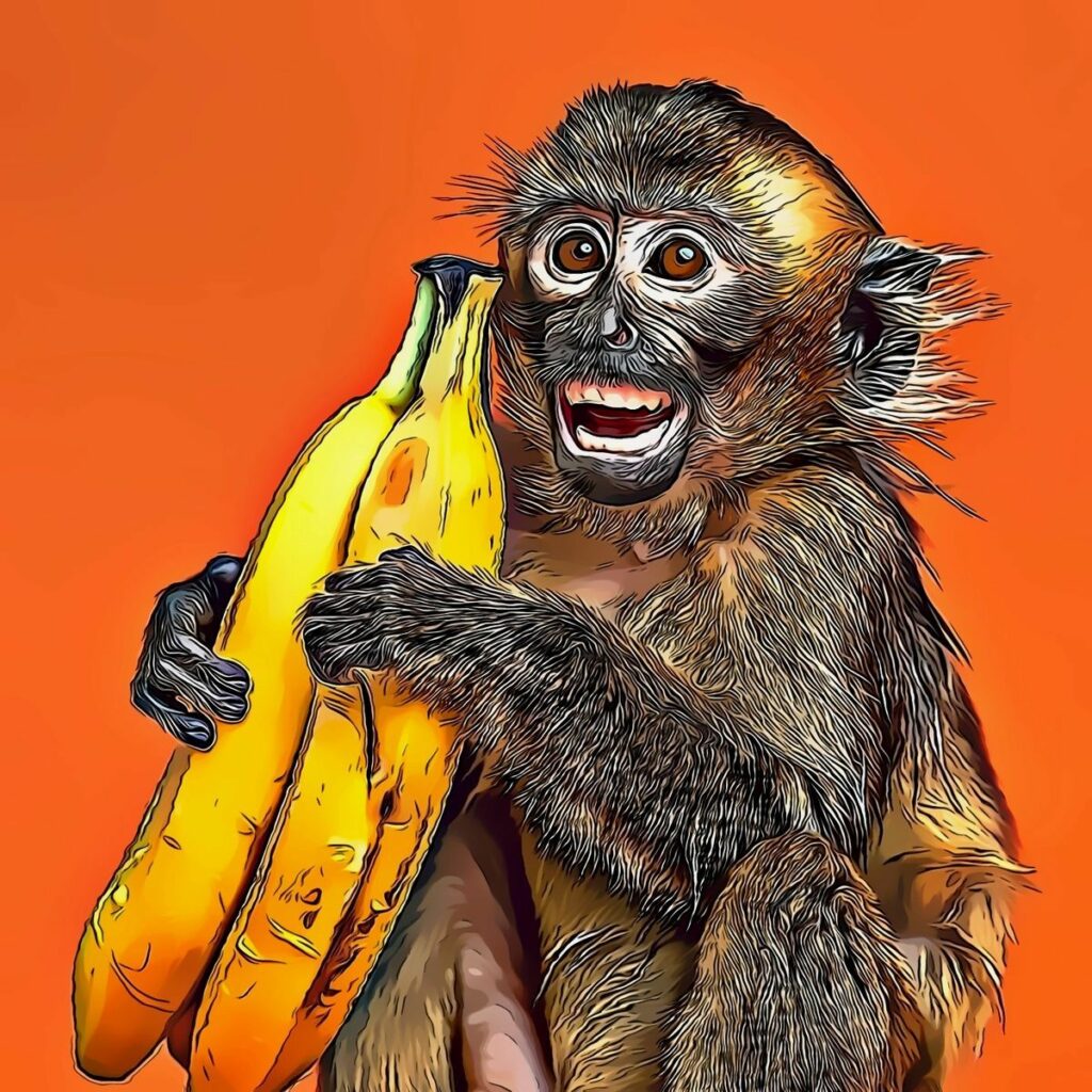 monkey cartoon made with colorcinch