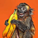 How to Turn Your Photo into a Cute Monkey Cartoon