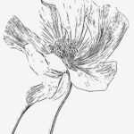 How to Make Your Own Adult Coloring Pages (Even If You’re Not an Artist)