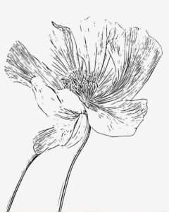 How to Make Your Own Adult Coloring Pages (Even If You’re Not an Artist)