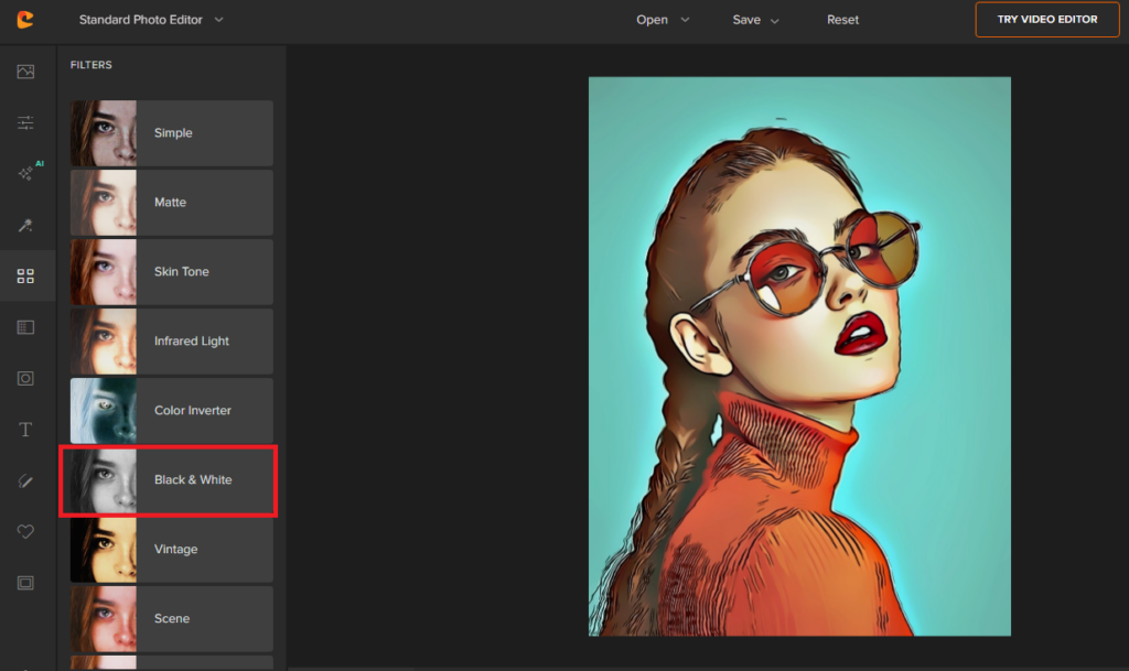 black and white image converter by colorcinch