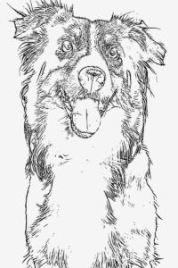 dog coloring page