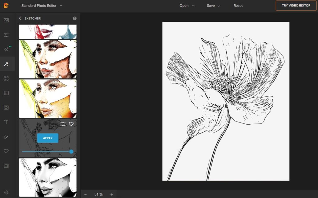 flower photo to sketch by colorcinch