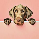 Turn Any Photo into a Watercolor Canvas Print