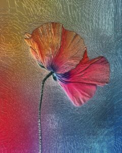 oil painting flower
